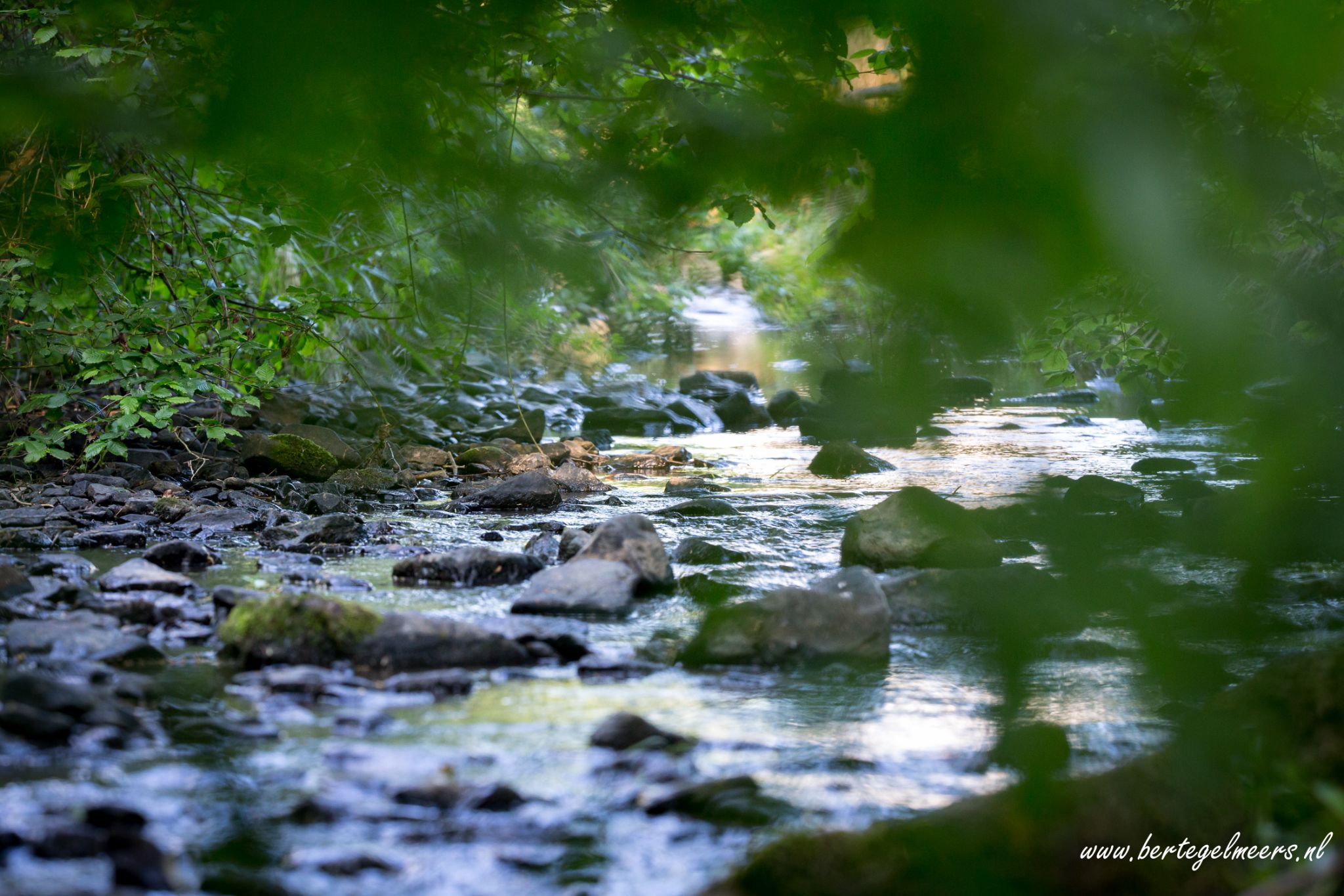 Familie Aangelegenheden